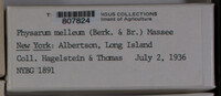 Image Associated With the Occurence